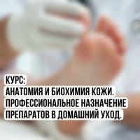 Курс мастера. Анатомия и биохимия кожи. Профессиональное назначение препаратов в домашний уход